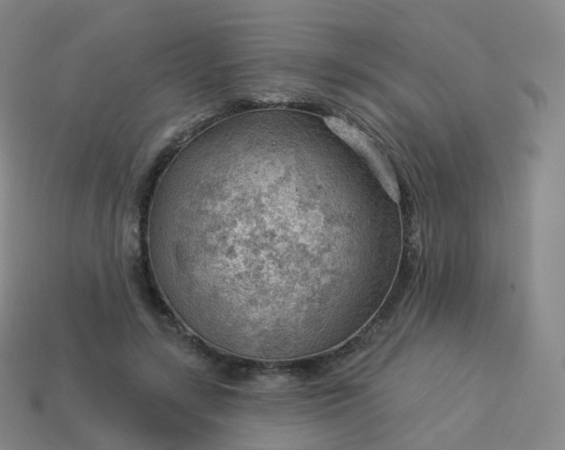 X0000113900547200910081831