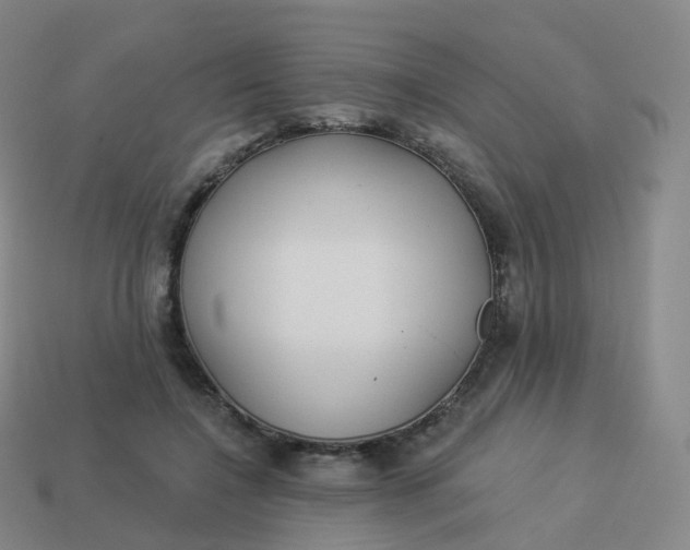 X0000113900548200910081831