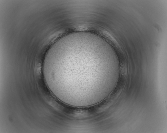 X0000113900549200910081831