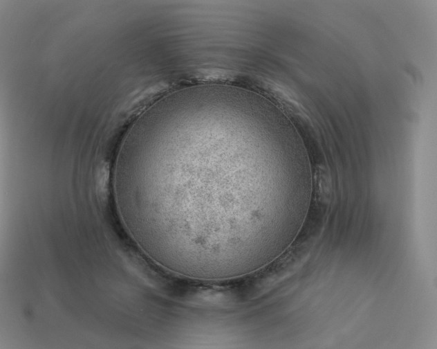 X0000113900550200910081831