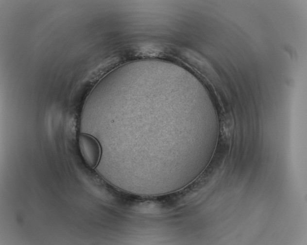 X0000113900551200910081831