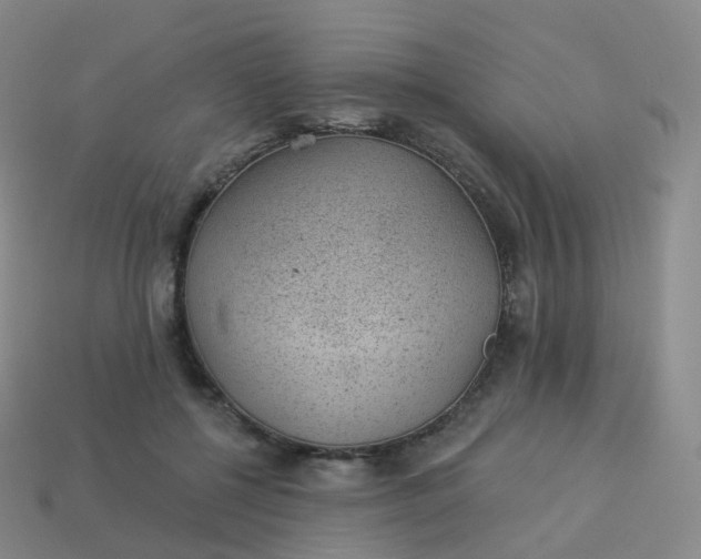 X0000113900552200910081831