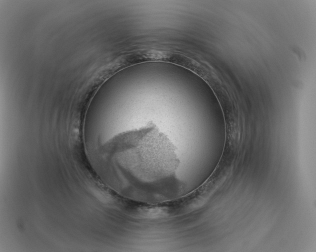 X0000113900553200910081831