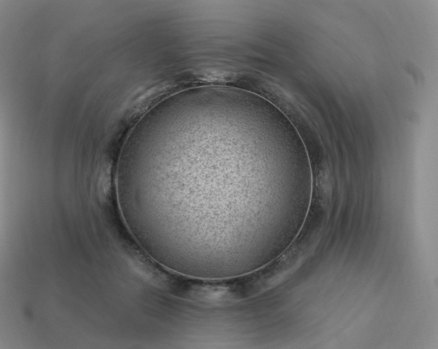 X0000113900554200910081831