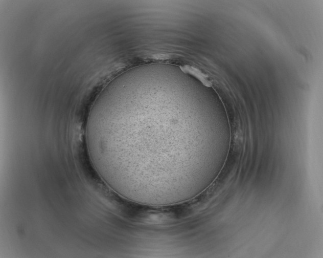 X0000113900555200910081831