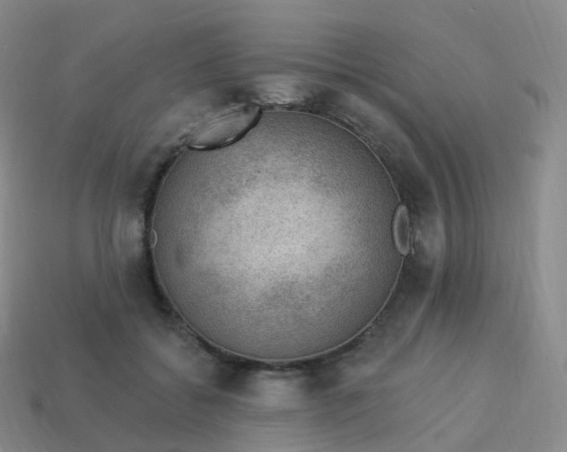 X0000113900556200910081831