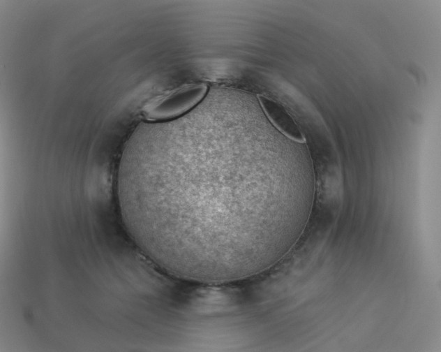 X0000113900558200910081831