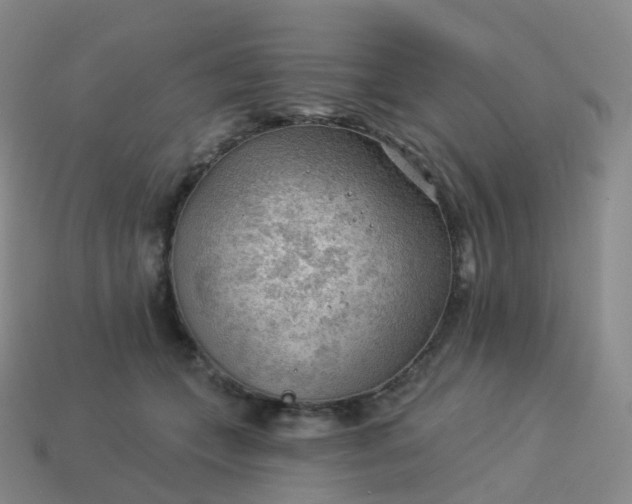 X0000113900559200910081831