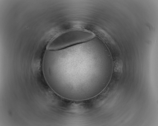 X0000113900560200910081831