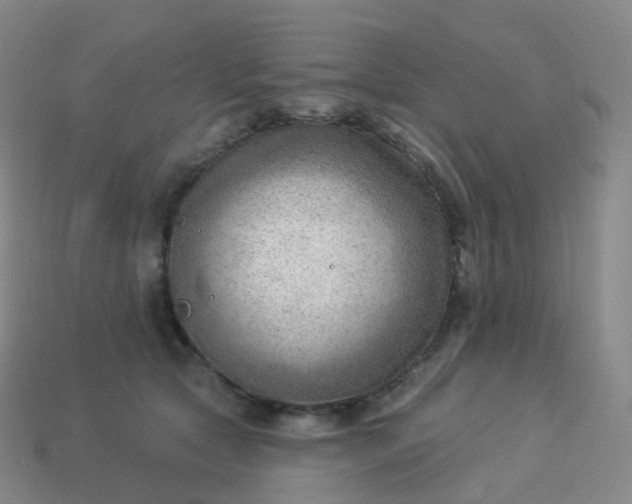 X0000113900561200910081831