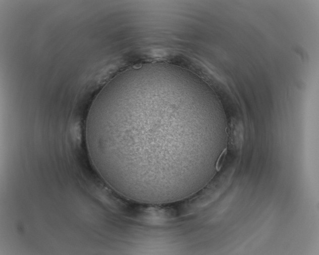 X0000113900562200910081831