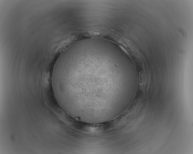 X0000113900563200910081831