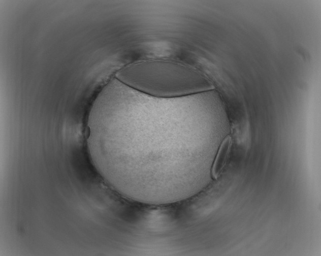 X0000113900564200910081831