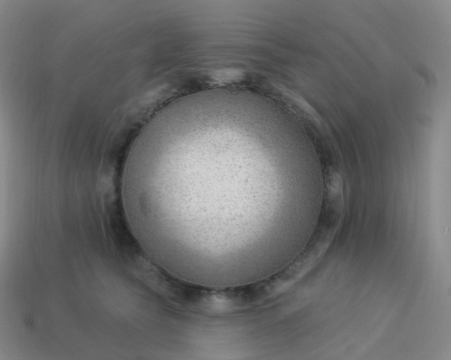 X0000113900565200910081831