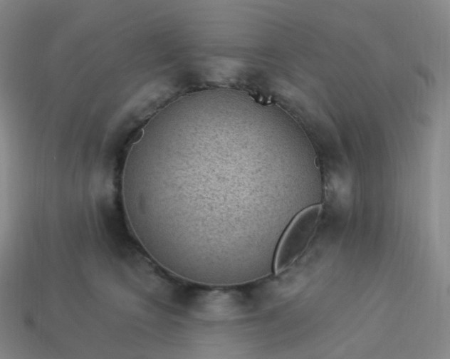 X0000113900566200910081831