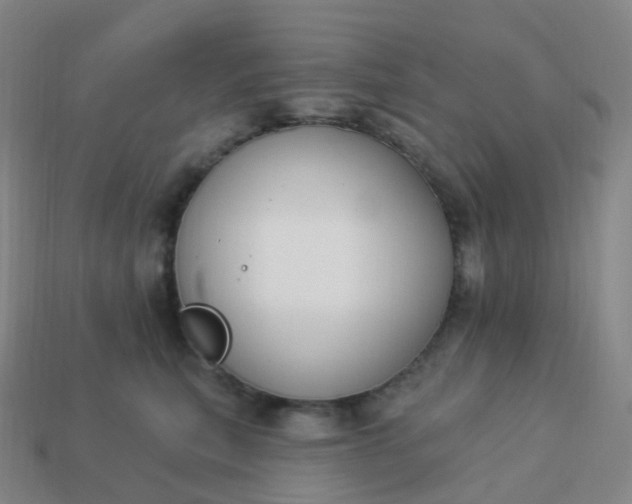 X0000113900567200910081831