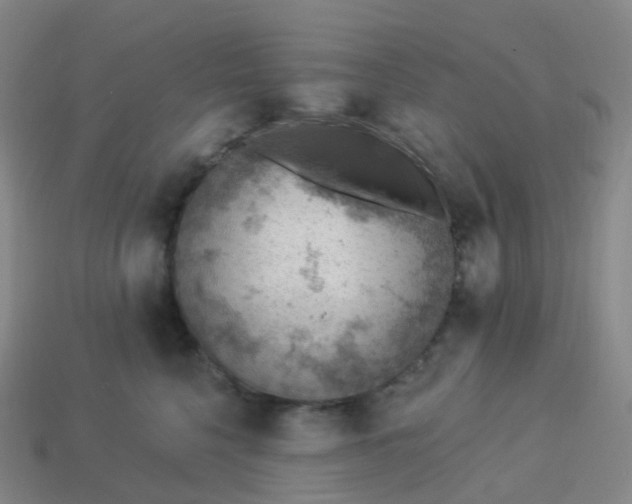 X0000113900568200910081831