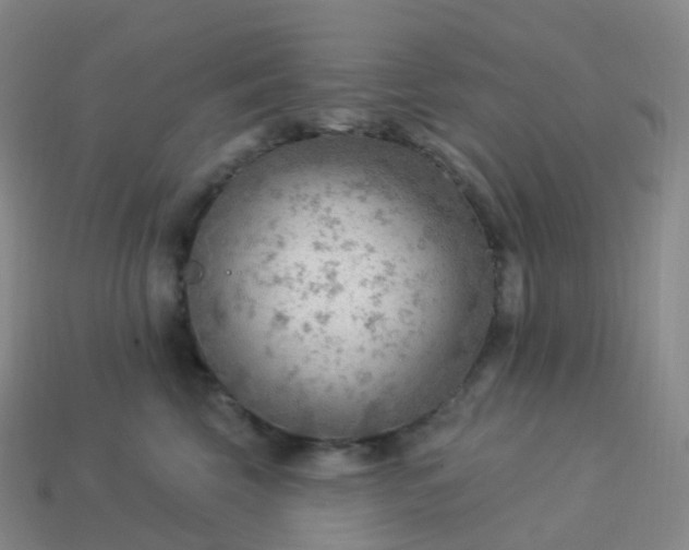 X0000113900569200910081831