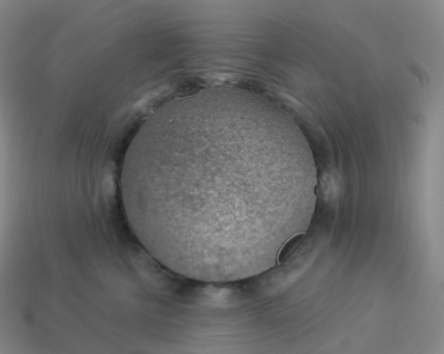 X0000113900570200910081831