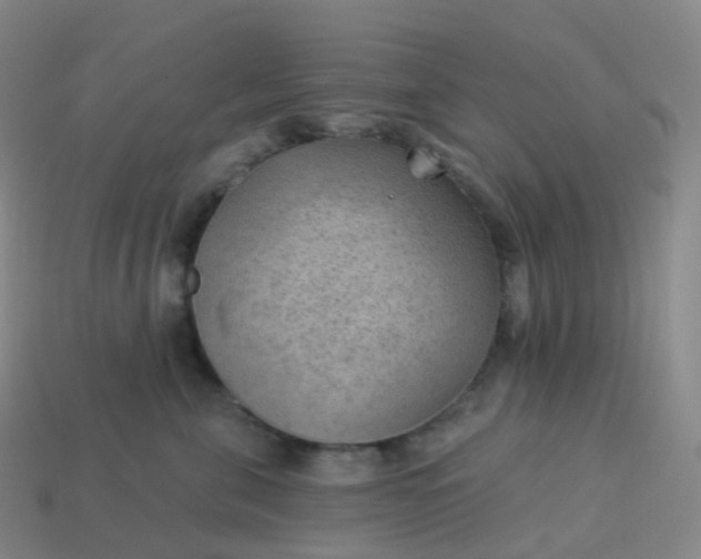 X0000113900571200910081831