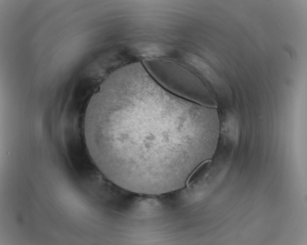 X0000113900572200910081831