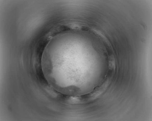 X0000113900573200910081831