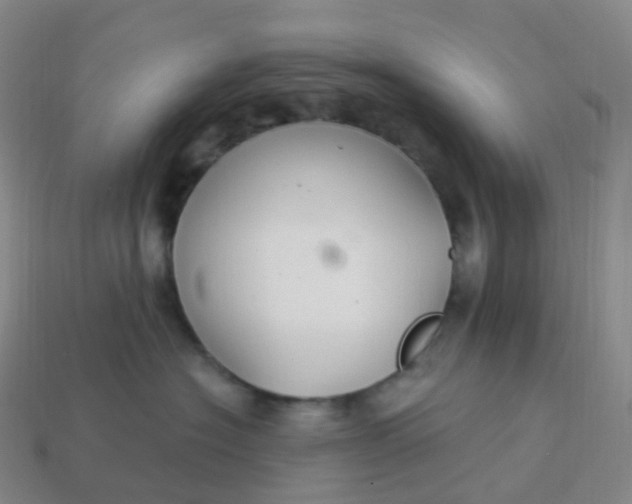 X0000113900574200910081831