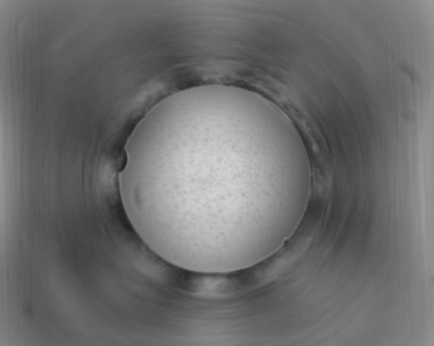 X0000113900575200910081831