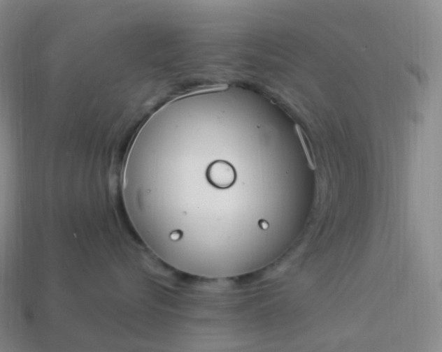 X0000113900576200910081831