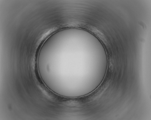 X0000113900578200910081831