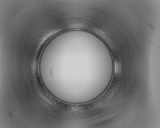 X0000113900579200910081831