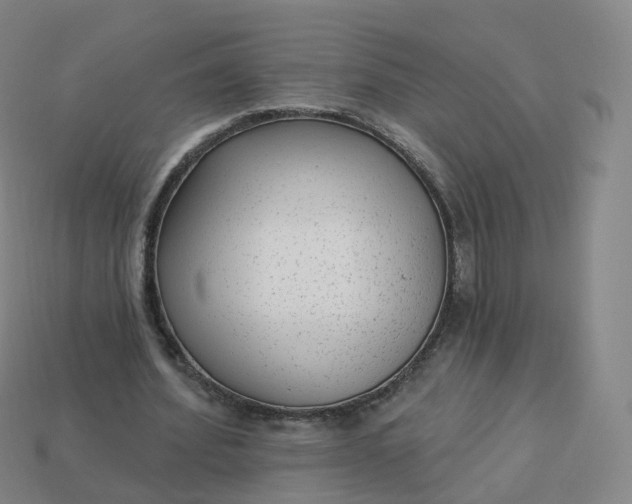 X0000113900580200910081831