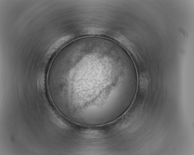 X0000113900581200910081831