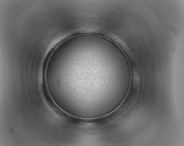 X0000113900582200910081831