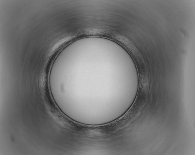 X0000113900583200910081831