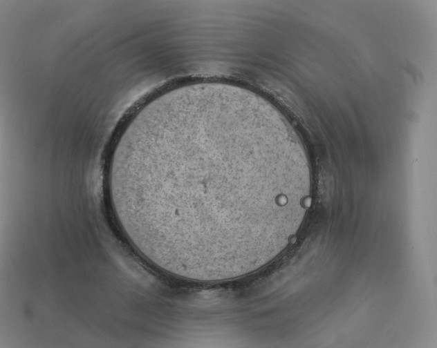 X0000113900584200910081831