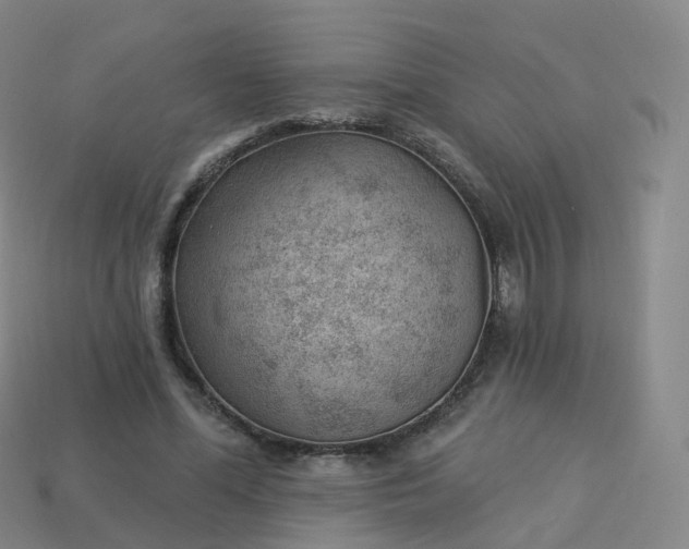 X0000113900588200910081831