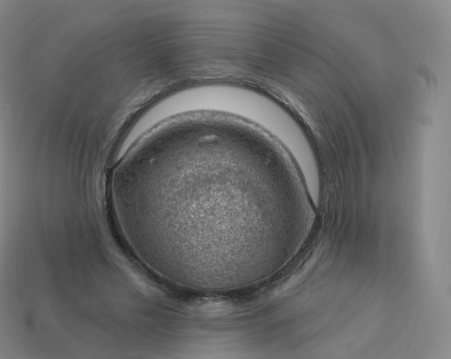 X0000113900589200910081831