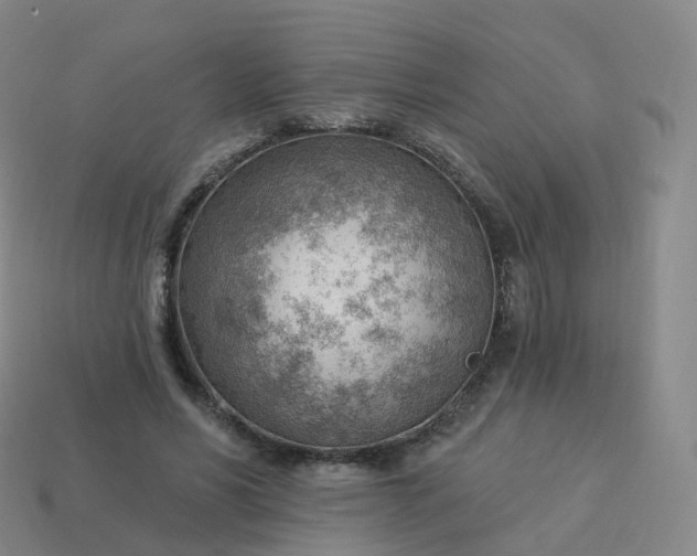 X0000113900590200910081831