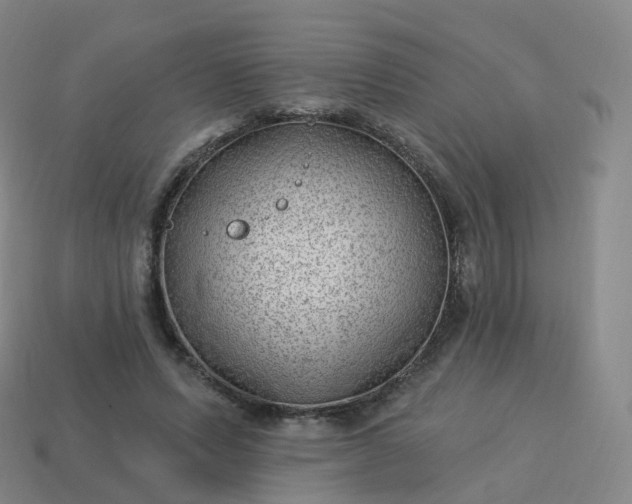 X0000113900591200910081831