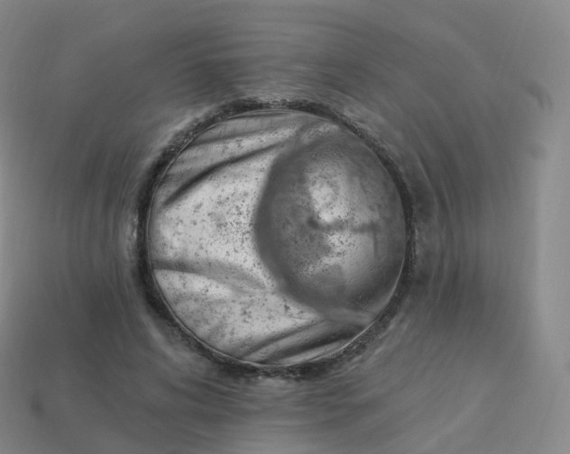 X0000113900592200910081831