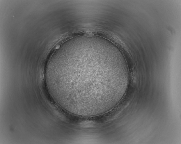 X0000113900593200910081831