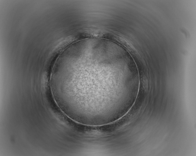 X0000113900594200910081831