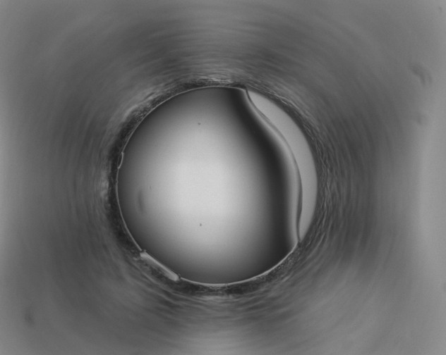 X0000113900595200910081830