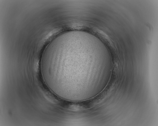 X0000113900596200910081830