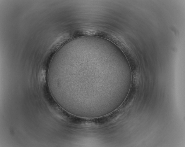 X0000113900598200910081830