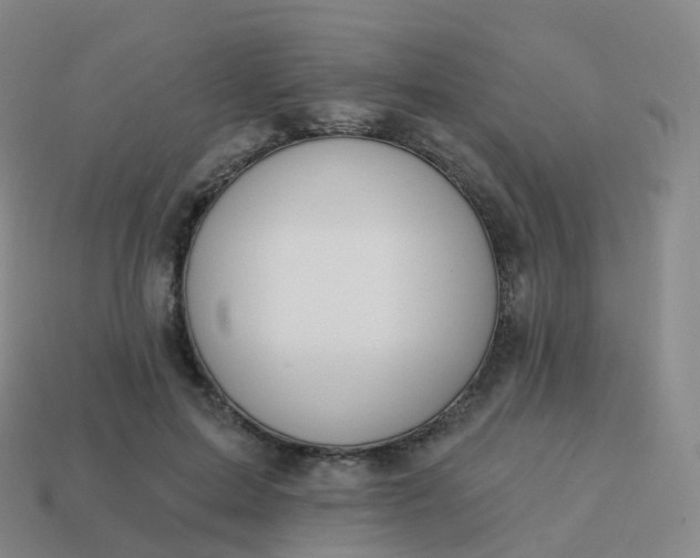 X0000113900599200910081830