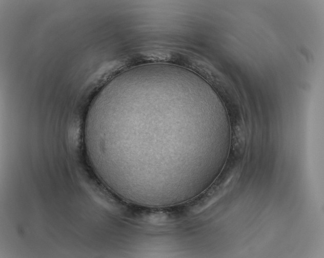 X0000113900600200910081830