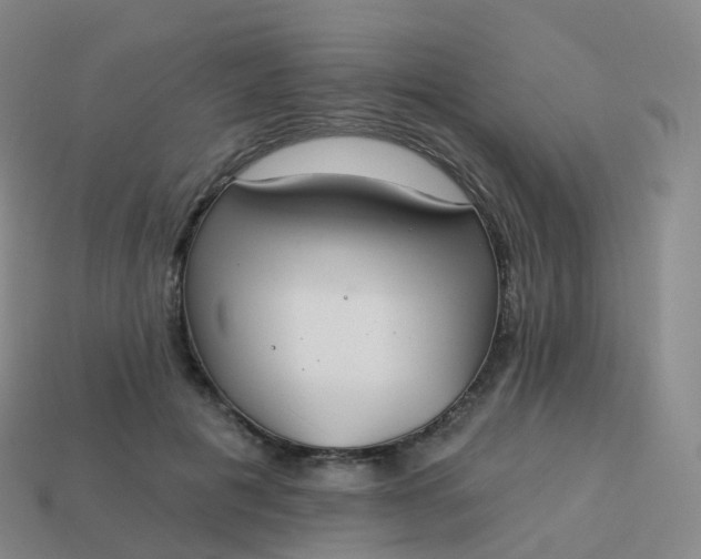 X0000113900601200910081830