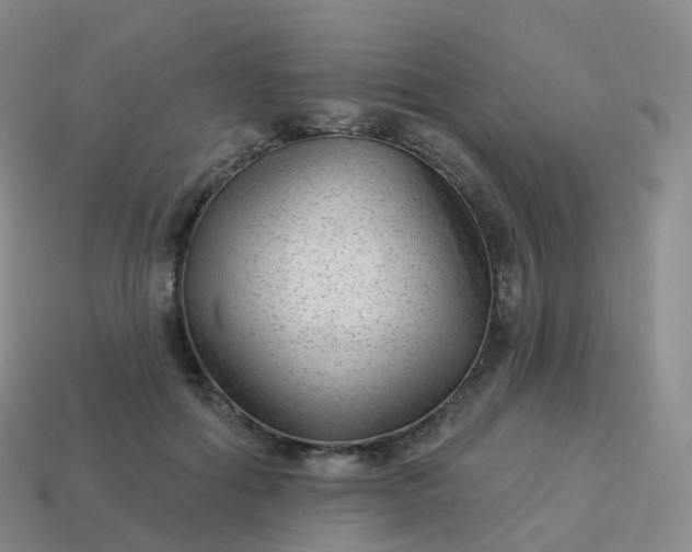 X0000113900602200910081830